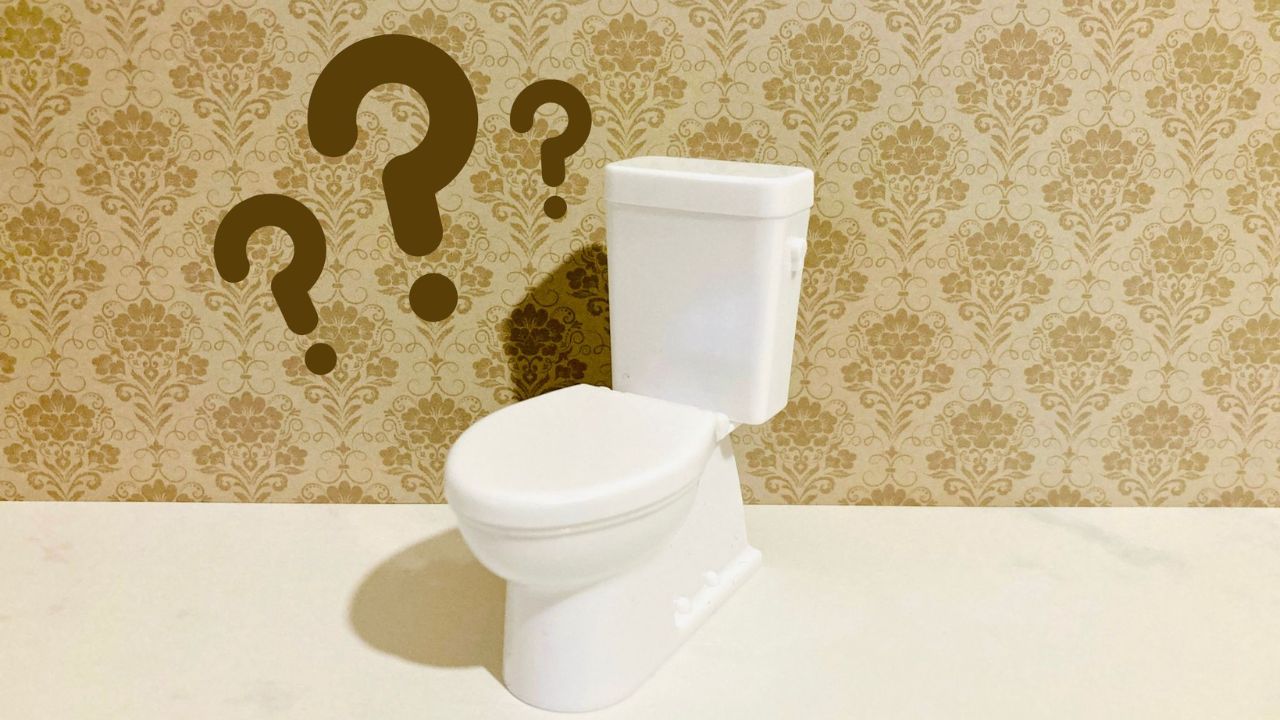トイレとクエスチョンマークのイラスト。PNH患者が朝の排尿時に赤色尿に気づくことがあり、症状の早期認知が重要