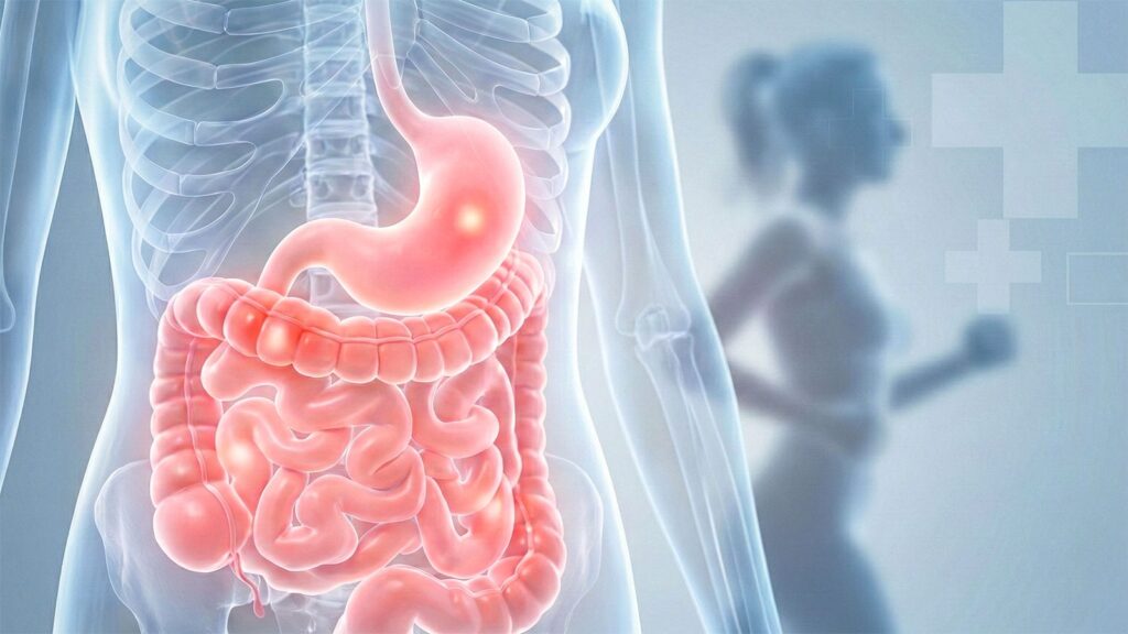 過度なトレーニングによる内臓への負担や血流変化が原因で、消化管から微量な鉄分が失われる様子を示す解説図。